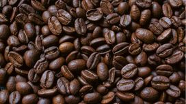 Cà phê hạt nguyên chất: Bí quyết chọn mua, bảo quản và thưởng thức đúng cách
