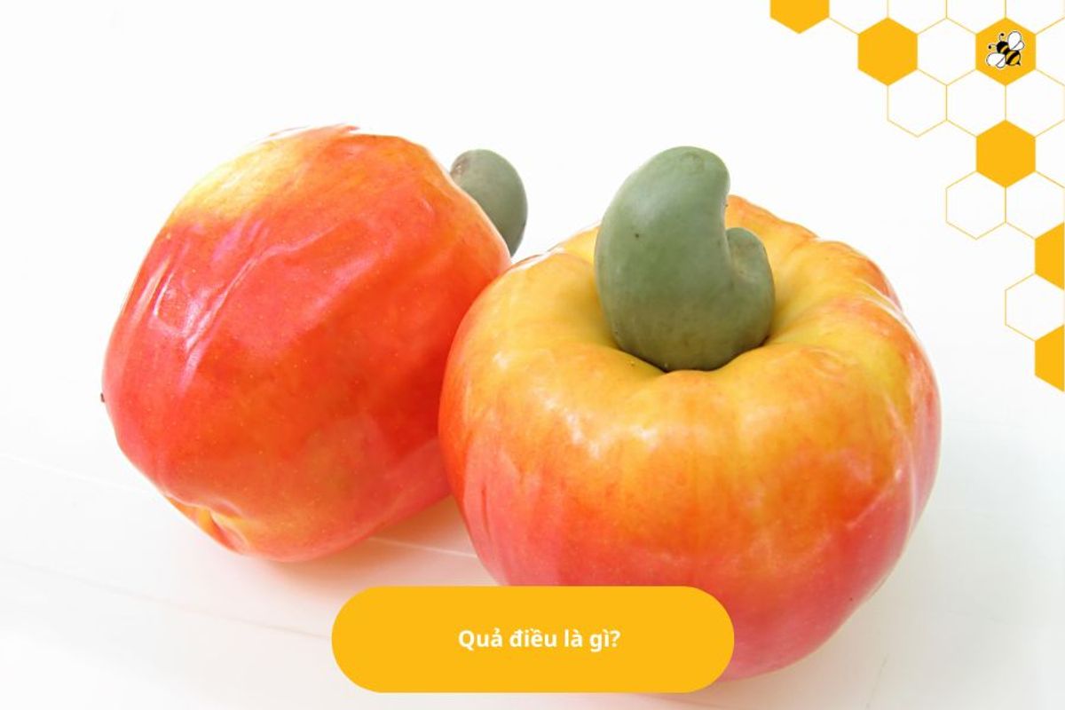 Quả điều là gì?