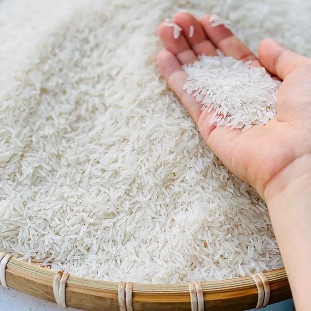 Gạo ST 25 đặc sản sóc trăng túi 5 kg