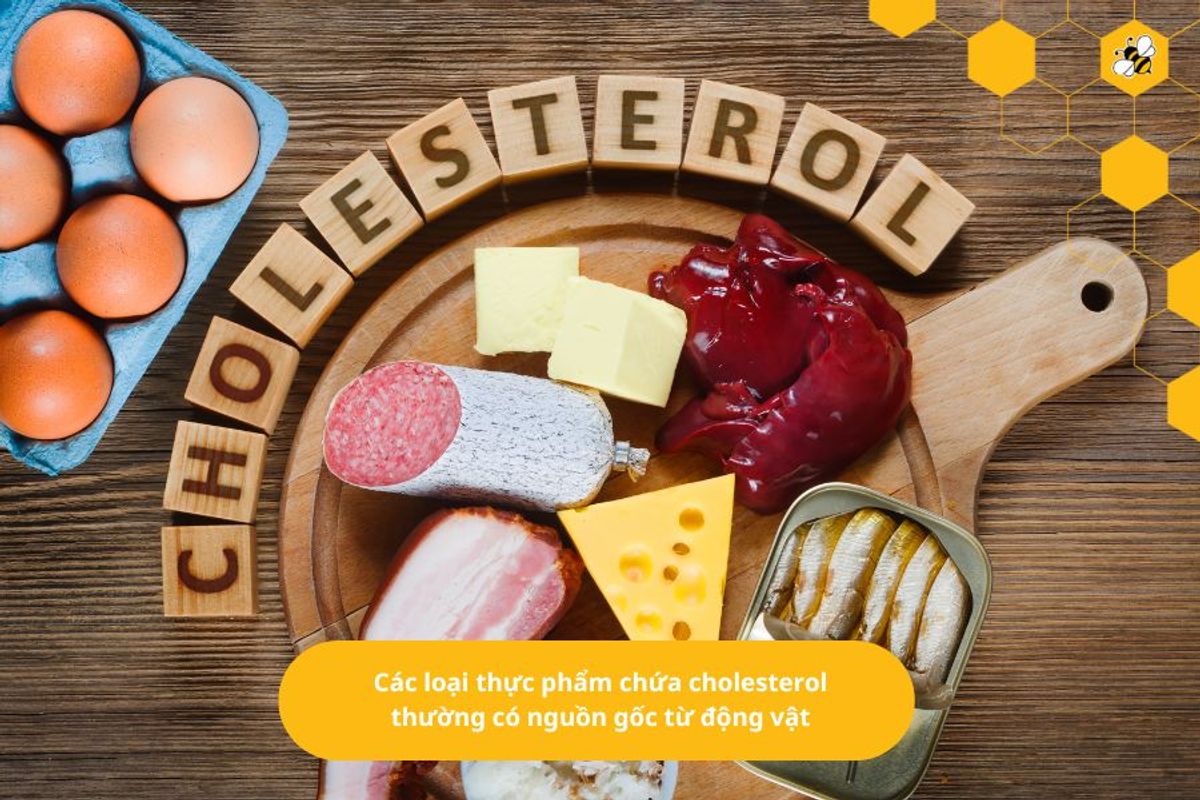 Các loại thực phẩm chứa cholesterol thường có nguồn gốc từ động vật
