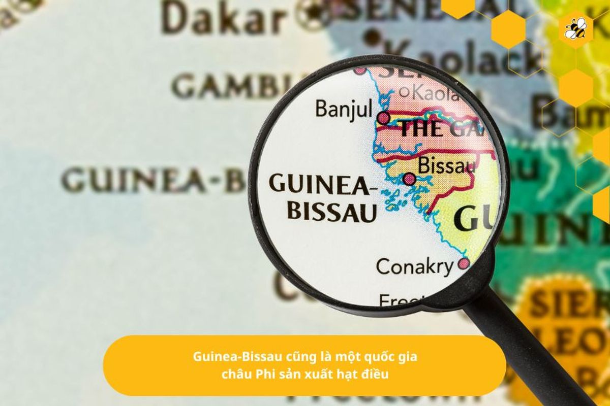 Guinea-Bissau cũng là một quốc gia châu Phi sản xuất hạt điều