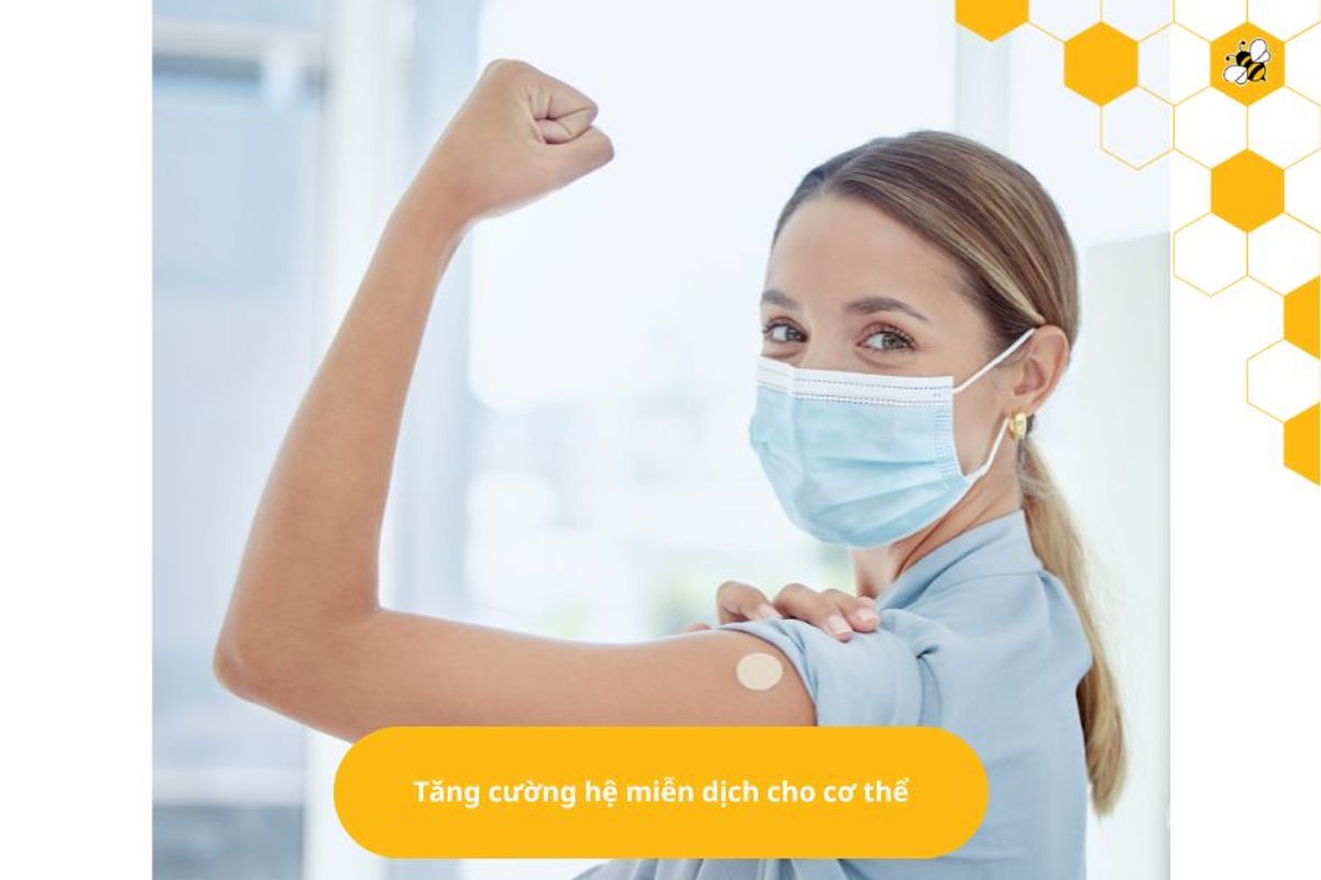 Tăng cường hệ miễn dịch cho cơ thể