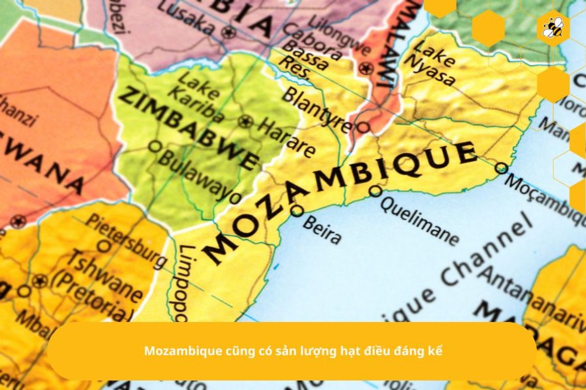 Mozambique cũng có sản lượng hạt điều đáng kể