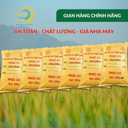Gạo Quê Phúc Cư | 60KG Gạo Nếp Cái Hoa Vàng (NẾP BẮC 3,5 THÁNG TUỔI) Dẻo Thơm Chuẩn Gạo Quê Nấu Xôi Làm Bánh