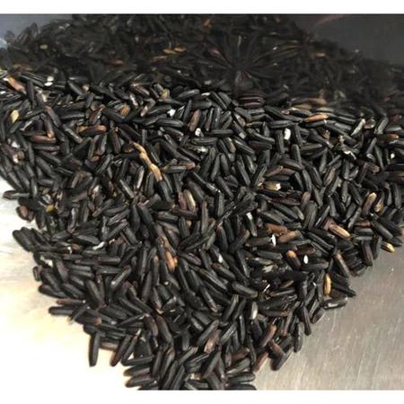 Gạo nếp cẩm Điện Biên hàng mới dẻo thơm, gạo nếp cẩm nấu xôi sữa chua nếp cẩm đóng túi 500g-1kg