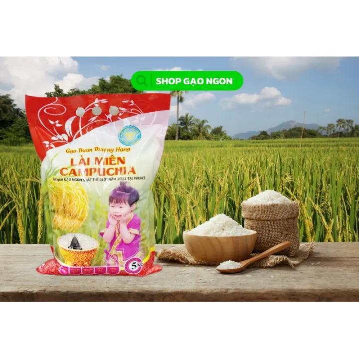 GẠO LÀI MIÊN CAMPUCHIA - HÀNG NỘI ĐỊA VỤ LÚA MỚI