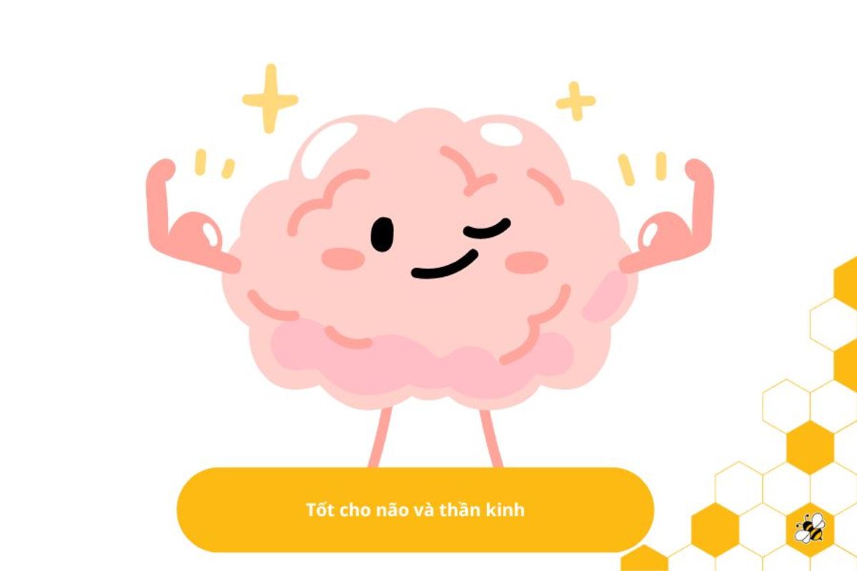 Tốt cho não và thần kinh