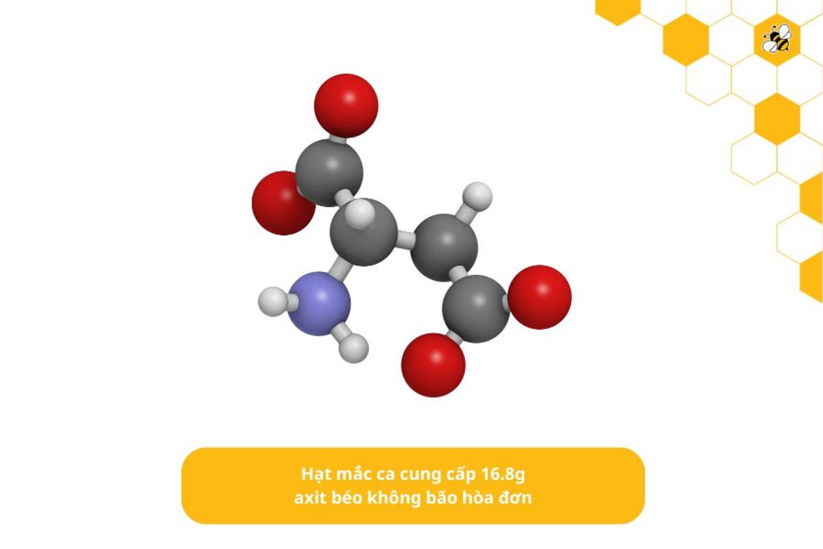 Hạt mắc ca cung cấp 16.8g axit béo không bão hòa đơn