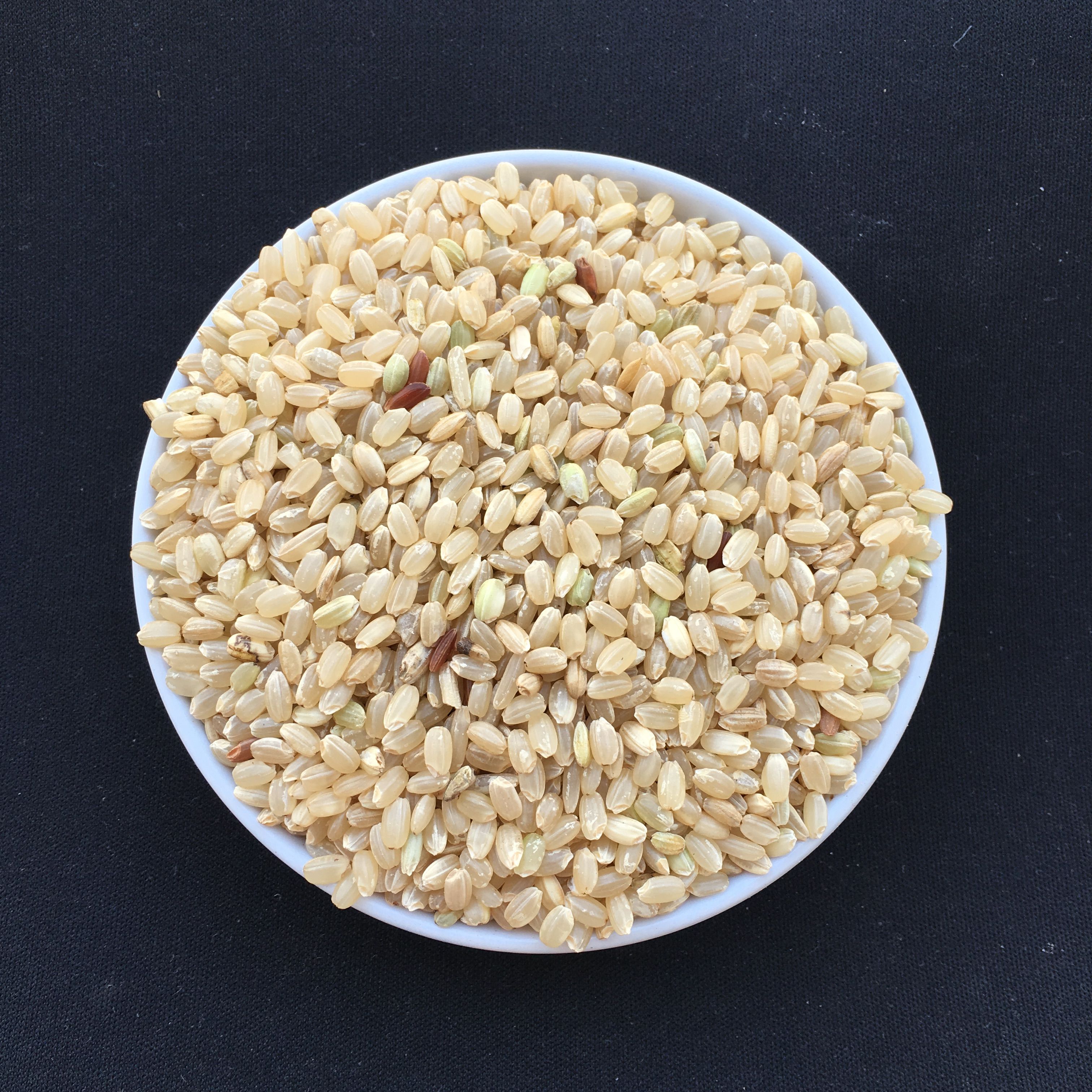 Japonica brown rice