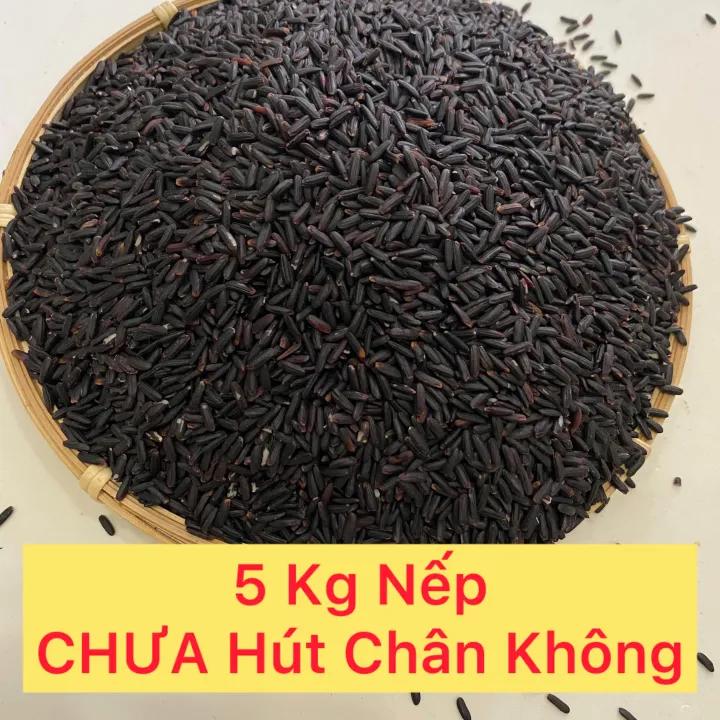 Gạo Nếp Cẩm - Nếp Than 5Kg hút chân không từng kilogram một - Thơm ngon, dẻo vừa, ngọt cơm, màu tím đen