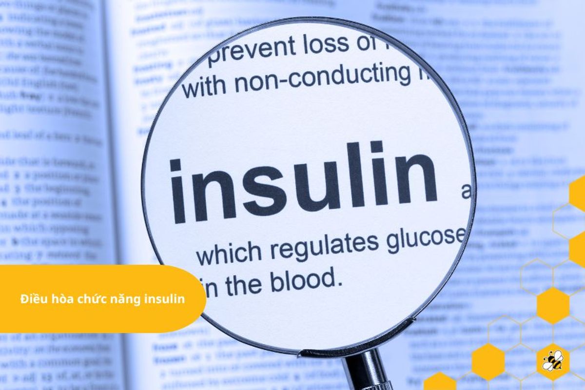 Điều hòa chức năng insulin