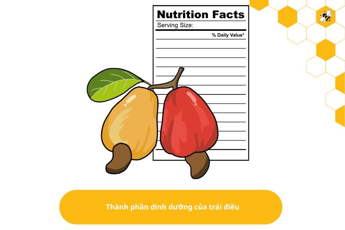 Thành phần dinh dưỡng của trái điều