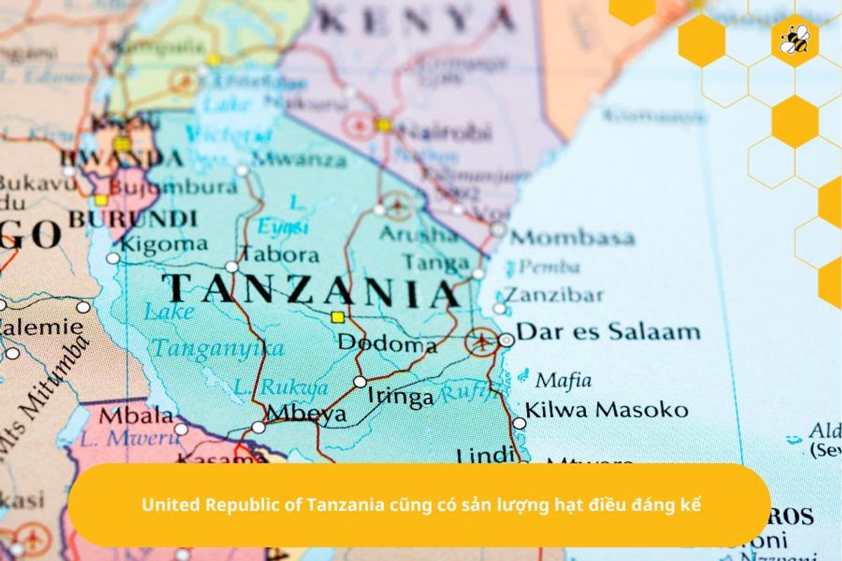 United Republic of Tanzania cũng có sản lượng hạt điều đáng kể