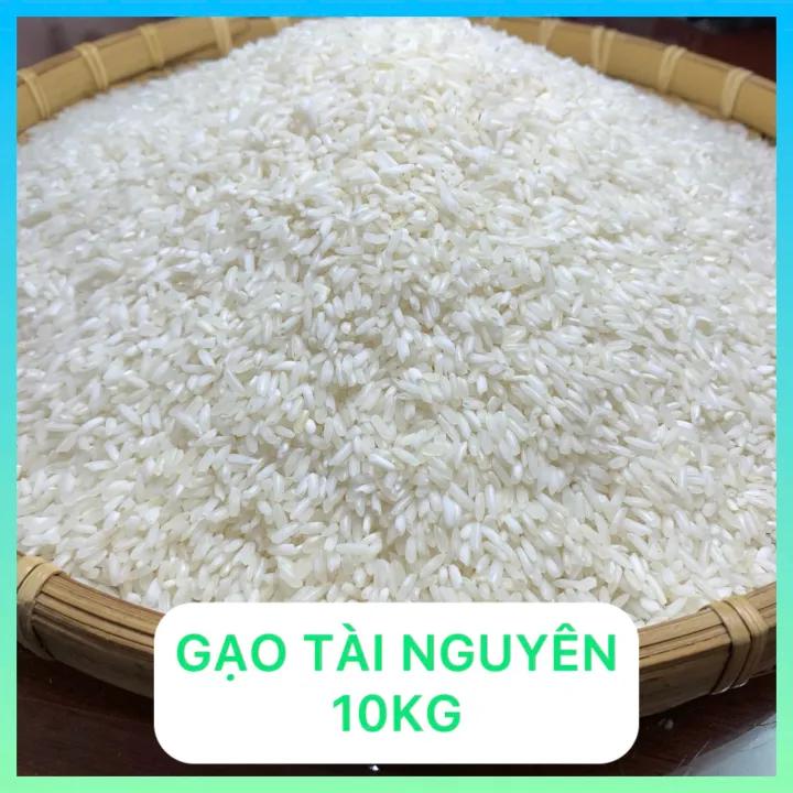 Gạo Tài Nguyên Chợ Đào Túi 5Kg - Dòng gạo khô, Nở xốp mềm ngon cơm thích hợp cho người không thích ăn gạo dẻo