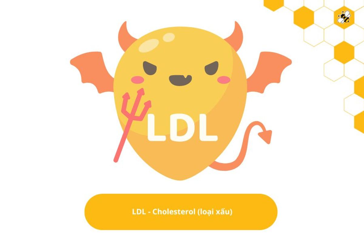 LDL - Cholesterol (loại xấu)