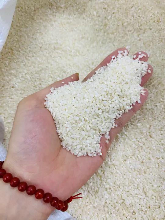 5kg Gạo TẤM Tài Nguyên Chợ Đào - Nở Xốp Mềm - Bena Organic