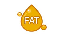 Hạt điều có chứa chất béo không? Lượng chất béo trong hạt điều là bao nhiêu