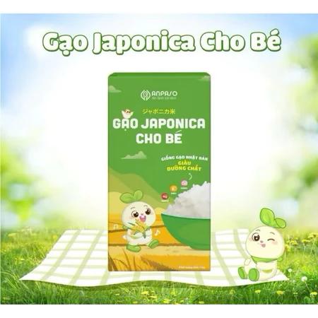 Gạo Japonica cho bé Ăn Dặm Anpaso 1kg - Giống gạo Nhật Bản chứa nhiều vitamin và khoáng chất
