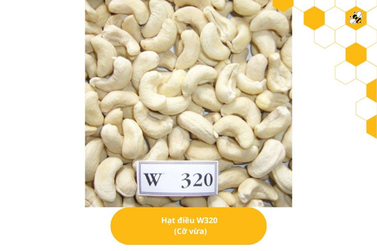 Hạt điều W320 (Cỡ vừa)