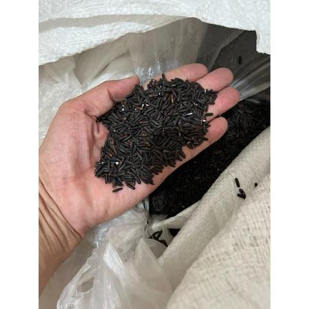 5 kg Gạo Lứt Đen Dẻo Mềm Cơm( đóng bao 5kg)