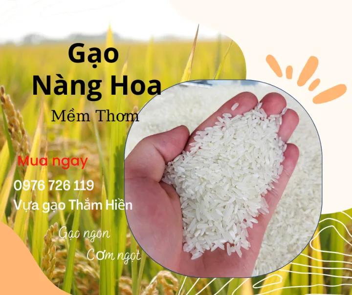 5KG Gạo Nàng Hoa - Gạo Mềm Thơm - Bena Organic