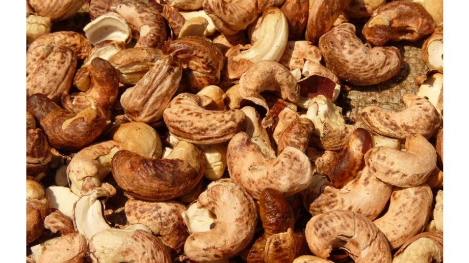 Hạt Điều Rang Củi: Món Ngon Từ Thiên Nhiên Dành Cho Sức Khỏe