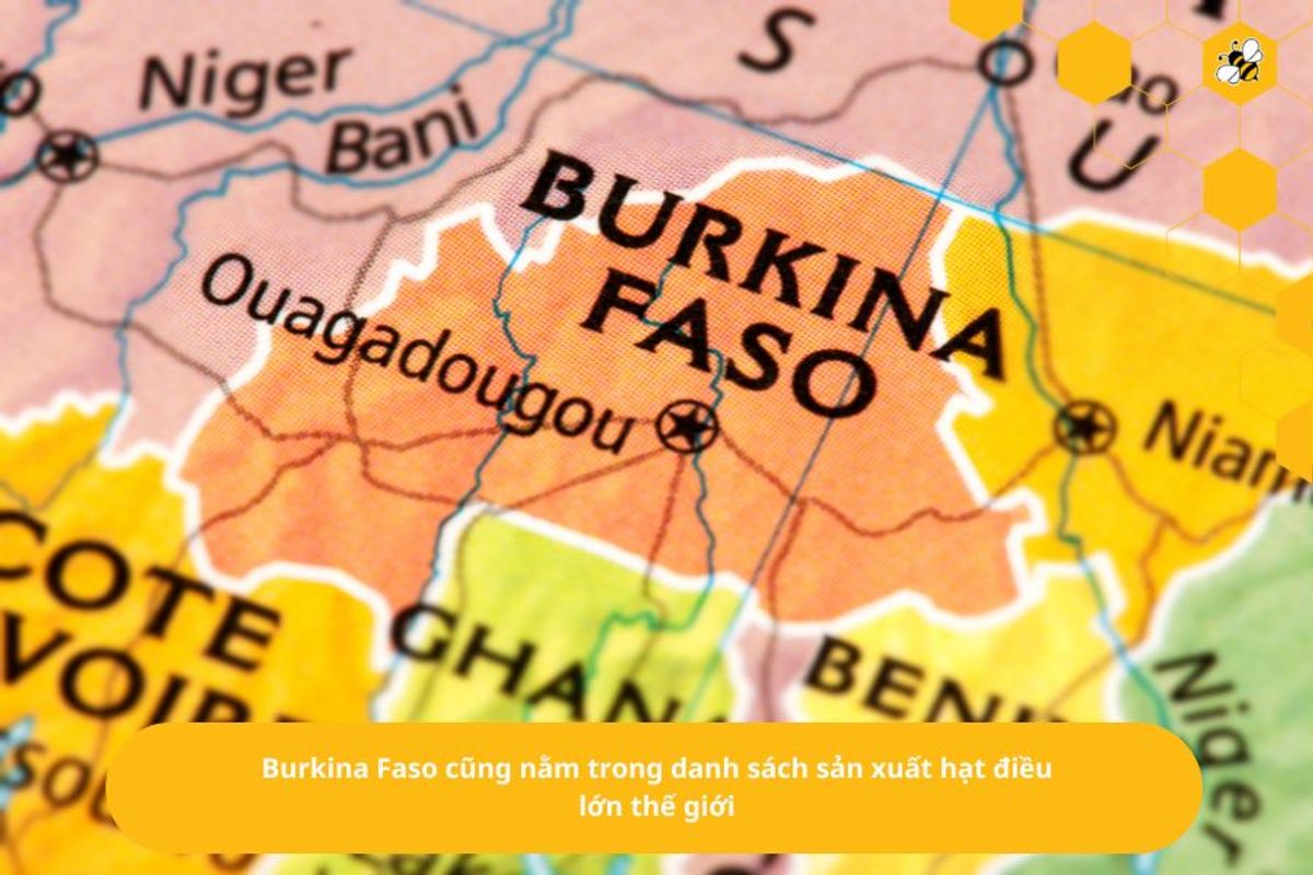 Burkina Faso cũng nằm trong danh sách sản xuất hạt điều lớn thế giới