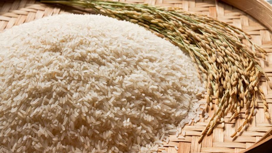 Gạo Xốp – Bí Quyết Chọn Và Nấu Cơm Tơi Mềm, Thơm Ngo