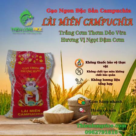 Gạo Lài Miên Campuchia Túi 5 Kg, Gạo Thơm Thượng Hạng, Trắng Cơm Thơm Dẻo Vừa Ngọt Đậm Cơm Hàng Loại 1