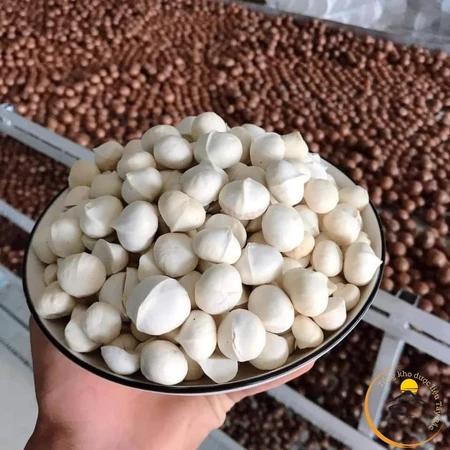 Nhân hạt macca hữu cơ Lai Châu nguyên hạt loại 1 (500g, 1kg) sấy khô tách vỏ từ macca tươi. Mắc ca, mac ca làm sữa hạt