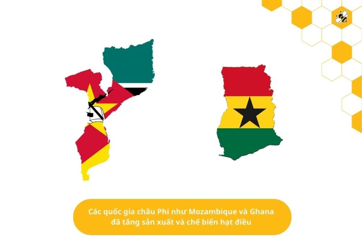 Các quốc gia châu Phi như Mozambique và Ghana đã tăng sản xuất và chế biến hạt điều