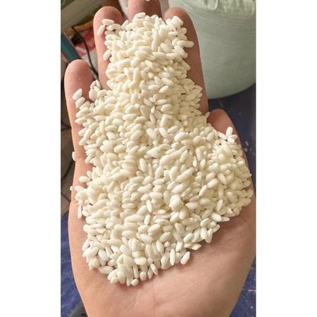 Gạo nếp nhung, gạo nếp đặc sản Bắc Bộ, gạo nếp cao quê chuẩn sạch Thái Bình Food