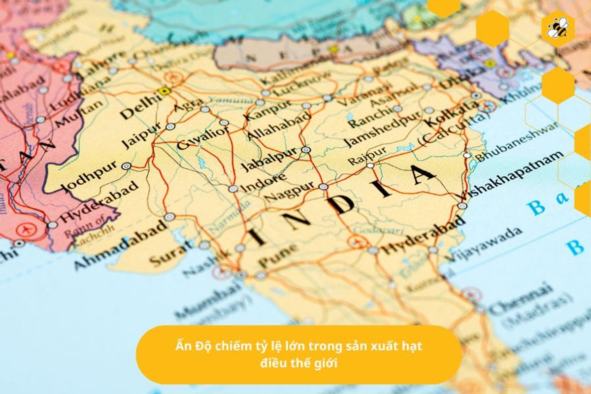 Ấn Độ chiếm tỷ lệ lớn trong sản xuất hạt điều thế giới