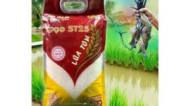 Gạo Lúa Tôm: Loại Gạo Đặc Sản Từ Mô Hình Canh Tác Sinh Thái