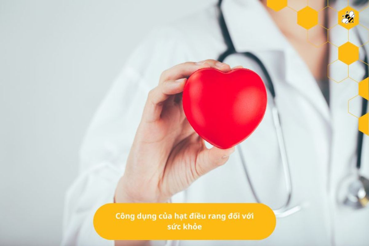 Công dụng của hạt điều rang đối với sức khỏe