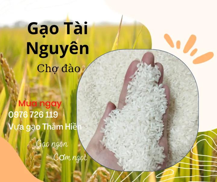 5KG Gạo Tài Nguyên Chợ Đào - Gạo Thơm Xốp Dẻo - Bena Organic