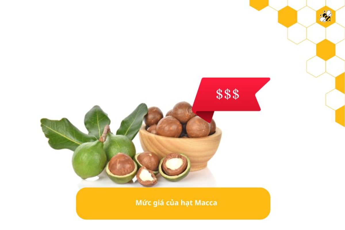 Mức giá của hạt Macca