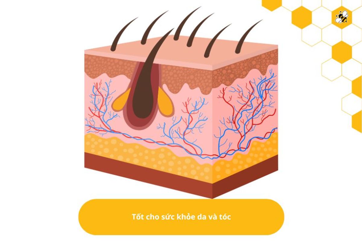 Tốt cho sức khỏe da và tóc