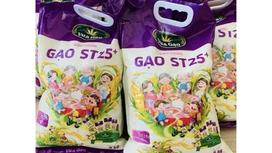 Gạo Thơm ST25: Sự Lựa Chọn Hoàn Hảo Cho Mỗi Bữa Cơm