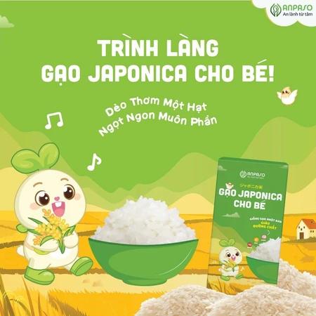 Gạo Japonica cho bé Ăn Dặm Anpaso 1kg - Giống gạo Nhật Bản chứa nhiều vitamin và khoáng chất Shopbeho