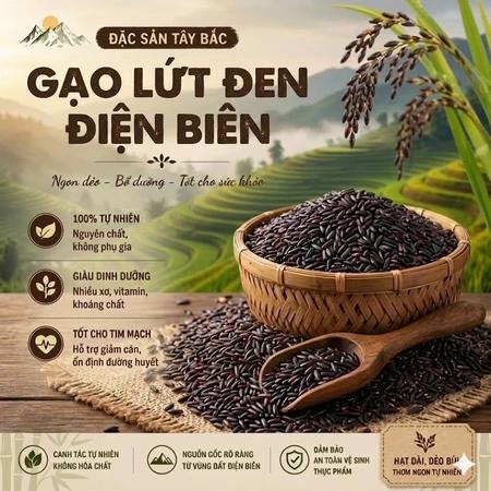 Gạo lứt đen dẻo Điện Biên (ship rẻ) loại đặc biệt Thơm Ngon