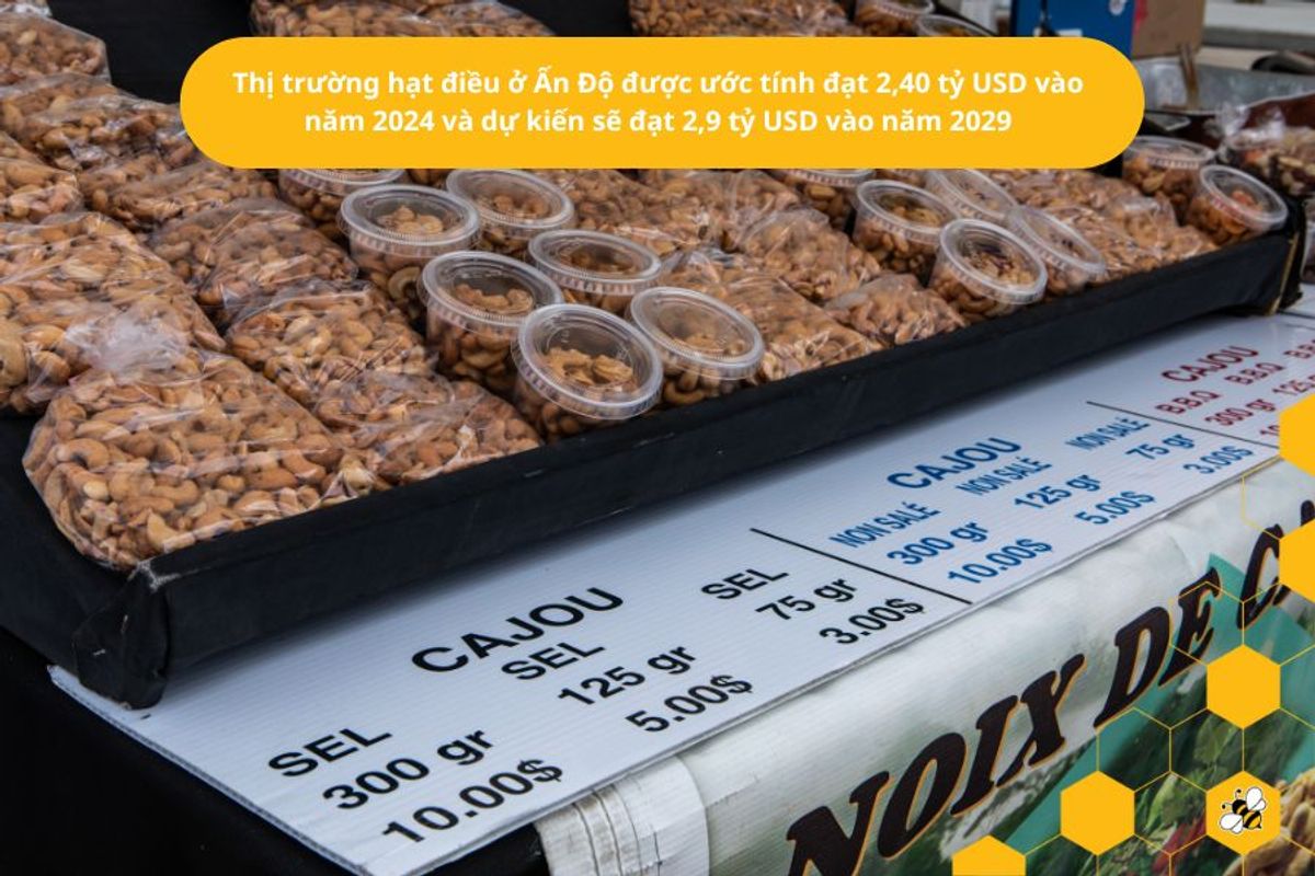 Thị trường hạt điều ở Ấn Độ được ước tính đạt 2,40 tỷ USD vào năm 2024 và dự kiến sẽ đạt 2,9 tỷ USD vào năm 2029