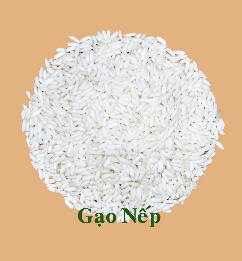 Gạo nếp 10% tấm