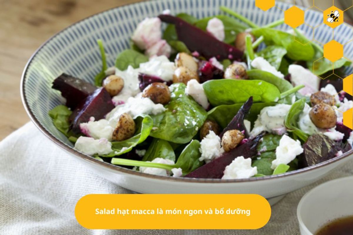 Salad hạt macca là món ngon và bổ dưỡng