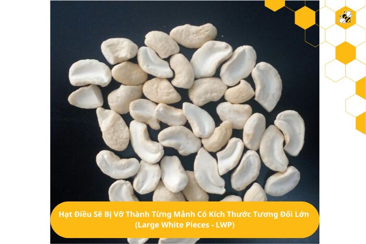 Hạt Điều Sẽ Bị Vỡ Thành Từng Mảnh Có Kích Thước Tương Đối Lớn  (Large White Pieces - LWP)