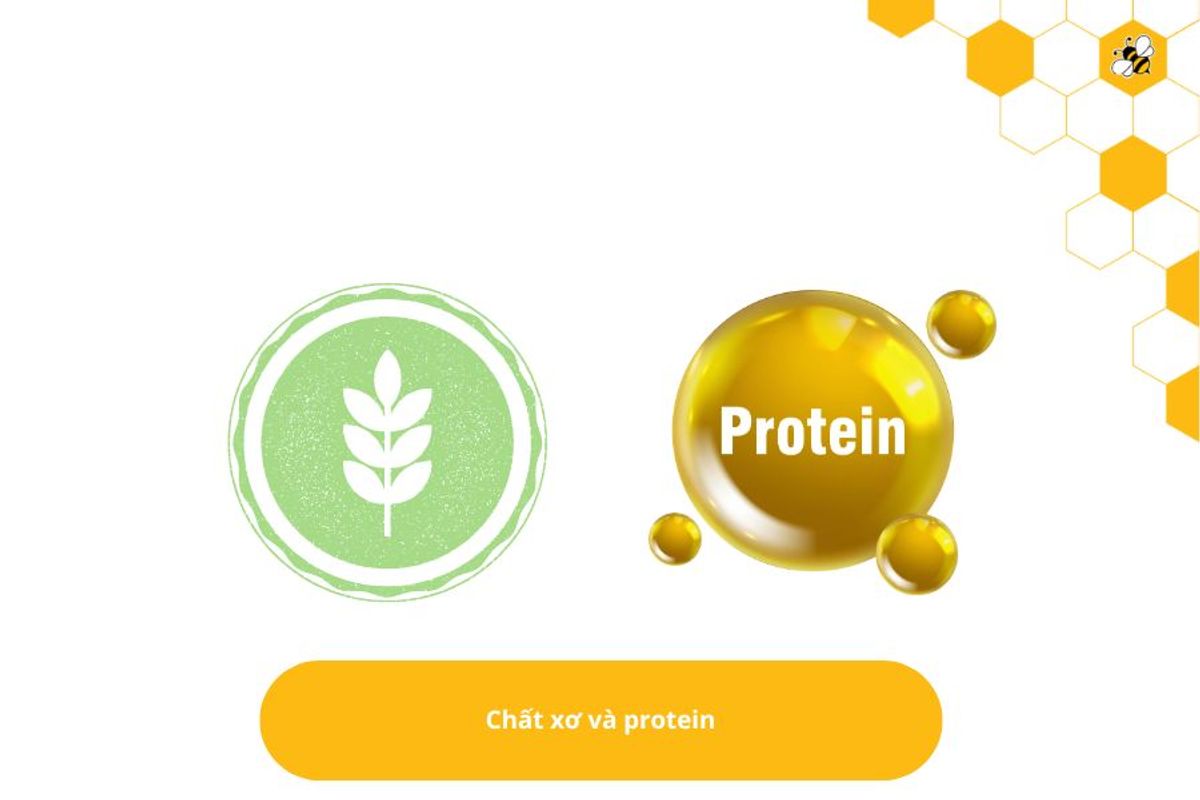 Chất xơ và protein