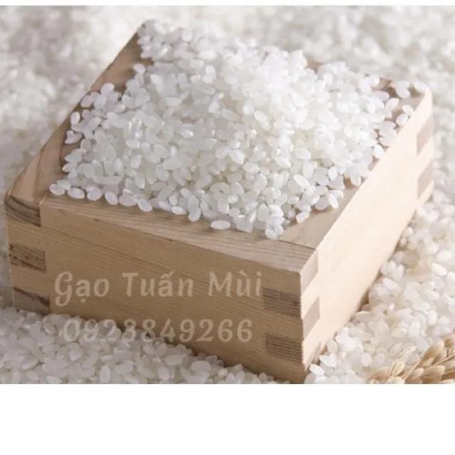 Gạo Nhật Hạt Tròn 10 ký - Gạo làm SUSHI
