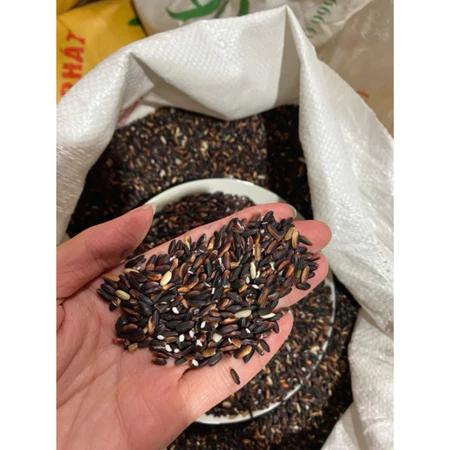 Gạo Nếp Cẩm (Nếp Than) Gạo Nếp Cẩm Dẻo Thơm Tự Nhiên Nếp Cẩm Nấu Xôi Sữa Chua Thơm Ngon B