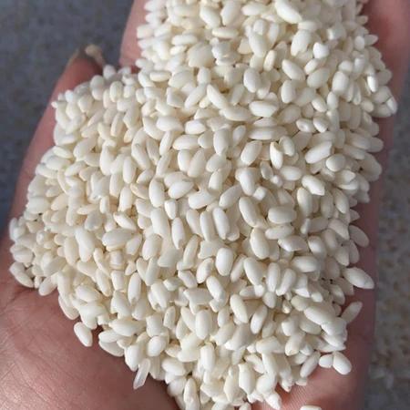 1kg GẠO NẾP NHUNG ĐẶC SẢN – GẠO CHUẨN CHO XÔI PHÚ THƯỢNG TRUYỀN THỐNG - Gạo Nếp Nhung Loại 1 Chuyên Nấu Xôi