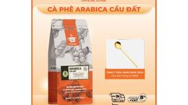 Hạt Cà Phê Arabica – Tinh Hoa Cà Phê Thế Giới Và Những Điều Bạn Nên Biết